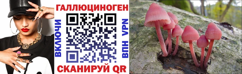 сколько стоит  блэк спрут ссылки  Галлюциногенные грибы Magic Shrooms  Галич 